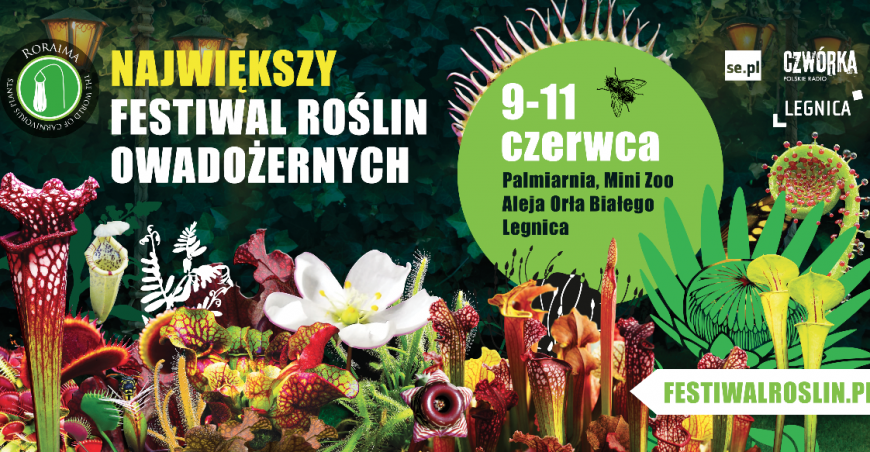 Piękne i drapieżne