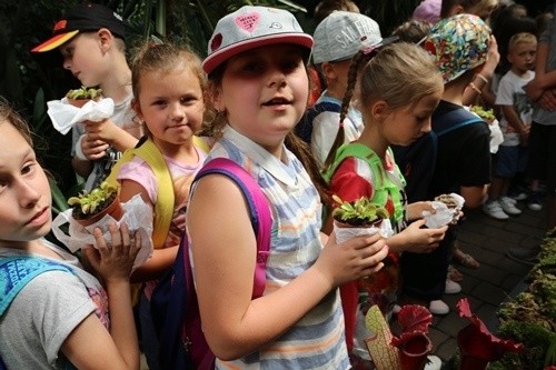Piękne i bestie w palmiarni