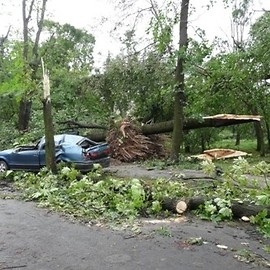 Osiem lat po huraganie