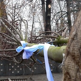 Rozpoczęła się restytucja Parku Miejskiego