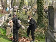 Społeczne sprzątanie Cmentarza Żydowskiego