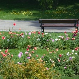 Przeniesienie ławek w parku