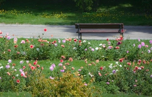 Przeniesienie ławek w parku