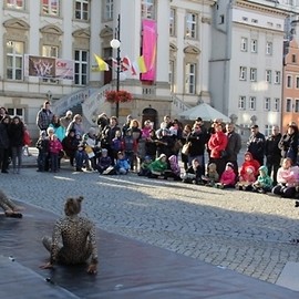 Sprawdzian wiedzy z ekologii