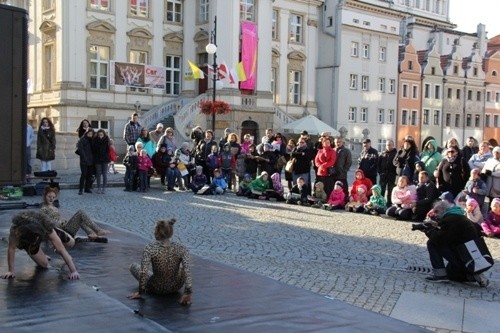 Sprawdzian wiedzy z ekologii