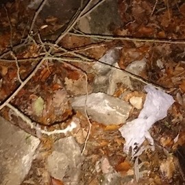 Śmieci, nagranie, kara