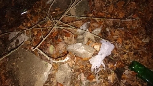 Śmieci, nagranie, kara