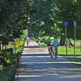 Przybywa ścieżek rowerowych