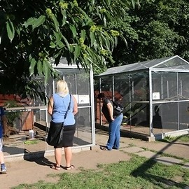 Rekordowa frekwencja w mini-zoo