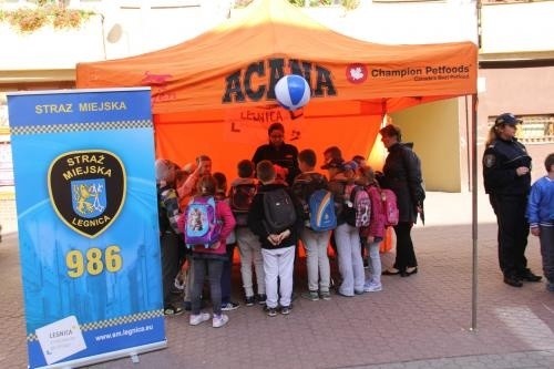 Pół tysiąca odpowiedzialnych opiekunów
