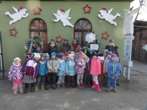 Przedszkolaki udekorowały choinki w mini-zoo