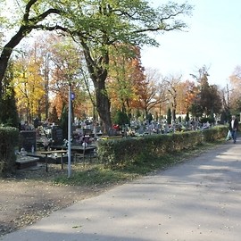 Przebudowa alei cmentarnej