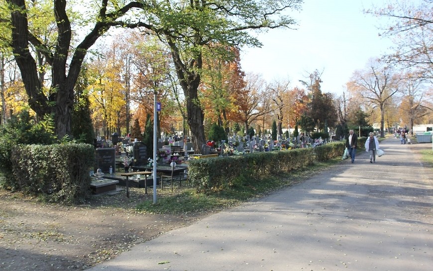 Przebudowa alei cmentarnej