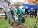 Towarzystwo Miłośników Legnicy „Pro Legnica” ufundowało magnolie