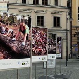 Wielkie sprzątanie Parku w obiektywie Piotra Krzyżanowskiego