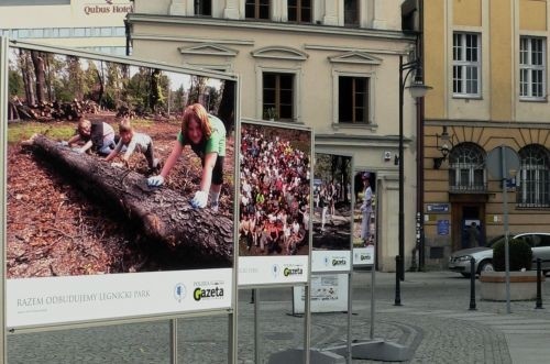 Wielkie sprzątanie Parku w obiektywie Piotra Krzyżanowskiego