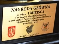 VII LO najlepsze na Dolnym Śląsku w sportach obronnych
