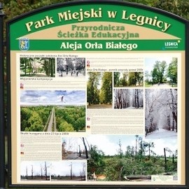 Tablice edukacyjne w parku
