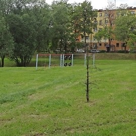 W Parku Bielańskim będzie nowy plac zabaw, siłownia i street workout park