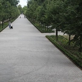 W parku zasadzono 60 tysięcy roślin