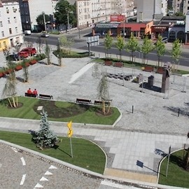 Trawa na Placu Sybiraków