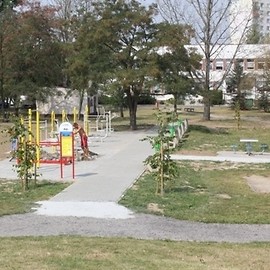 W oszczędzaniu siła