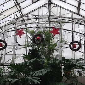 Święta w tropikach