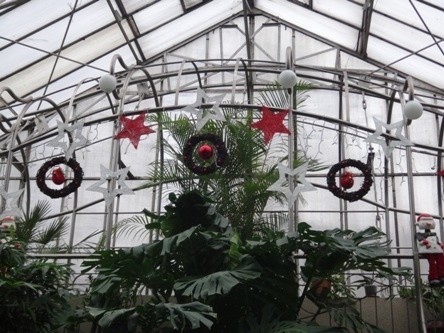 Święta w tropikach