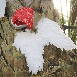 Świąteczny nastrój w palmiarni