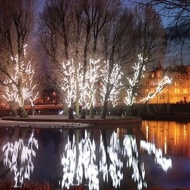 Wiatr uszkodził iluminację na Kozim Stawie