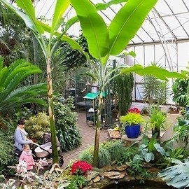 W sobotę otwarcie palmiarni i mini-zoo