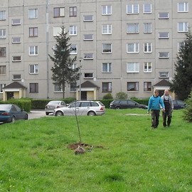 Wzbogacamy miejską zieleń