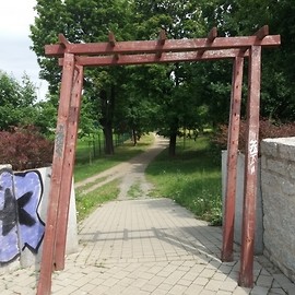Wandale znowu w akcji