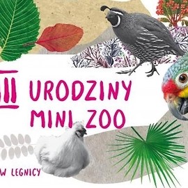 Trzecie urodziny mini-zoo