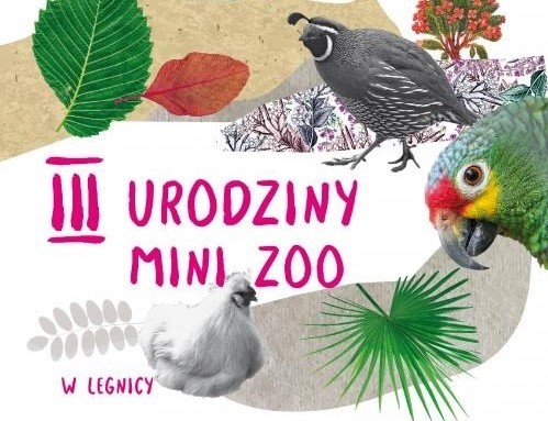 Trzecie urodziny mini-zoo
