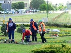 Zielona Legnica. Wiosenne nasadzenia kwiatów