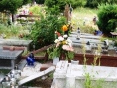 Zniszczone groby na legnickim cmentarzu
