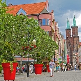 Zagłosuj na Legnicę, najpiękniej ukwiecone miasto