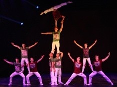 Ocelot podbija świat. W czwartek podbije serca legniczan