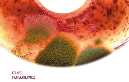 Malarstwo organicznych wykwitów w Galerii Sztuki