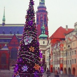 Od soboty Legnica w świątecznej szacie. Będą świetliste premiery