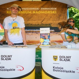powiększ zdjęcie: 