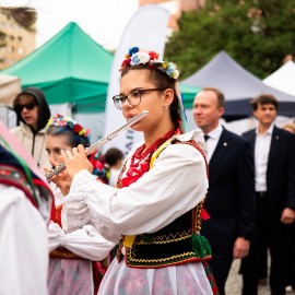 powiększ zdjęcie: 