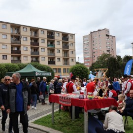 powiększ zdjęcie: 