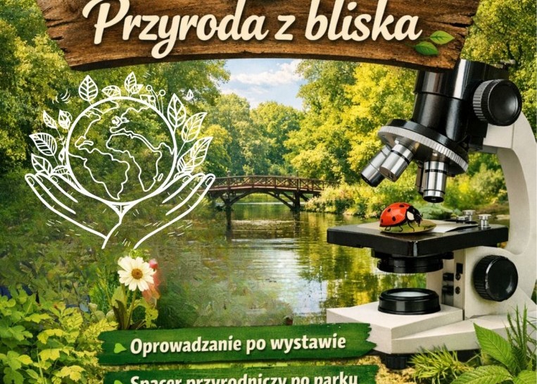 powiększ zdjęcie: 