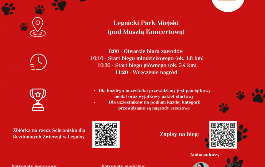 powiększ zdjęcie: 