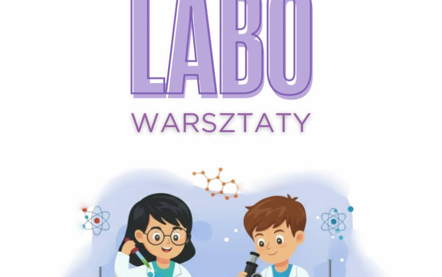 powiększ zdjęcie: 