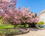 powiększ zdjęcie: Miasto Legnica