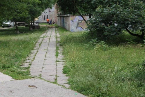 chodniki zosinek lbo