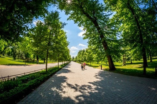 park 